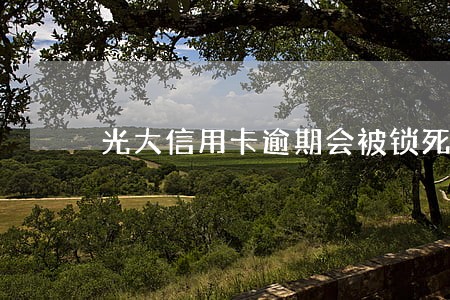 光大信用卡逾期会被锁死吗 光大信用卡逾期会被锁死吗