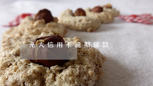 光大信用卡逾期催款 光大信用卡逾期催款