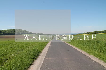 光大信用卡逾期元图片 光大信用卡逾期元图片