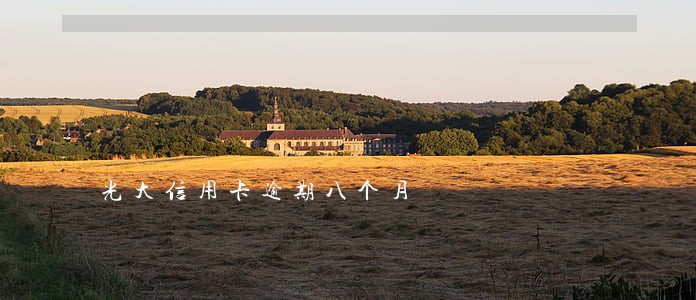 光大信用卡逾期八个月 光大信用卡逾期八个月