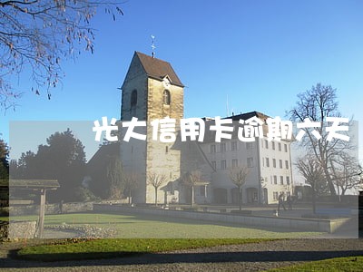 光大信用卡逾期六天