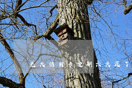 光大信用卡逾期六天还了还能用吗 光大信用卡逾期六天还了还能用吗