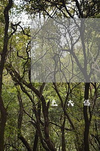 光大信用卡逾期冻结如何解除 光大信用卡逾期冻结如何解除