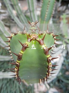 光大信用卡逾期减免滞纳金 光大信用卡逾期减免滞纳金