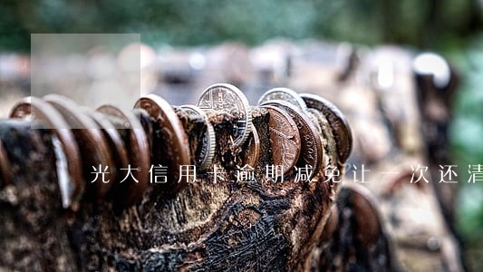 光大信用卡逾期减免让一次还清