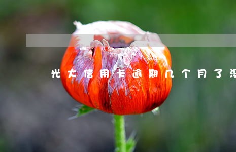 光大信用卡逾期几个月了没还 光大信用卡逾期几个月了没还