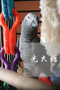 光大信用卡逾期几天上征信呀
