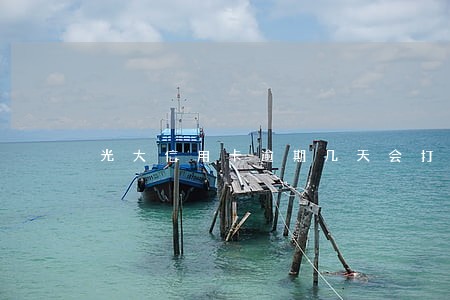 光大信用卡逾期几天会打电话来催 光大信用卡逾期几天会打电话来催