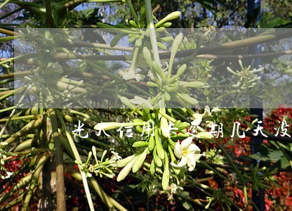 光大信用卡逾期几天没事 光大信用卡逾期几天没事
