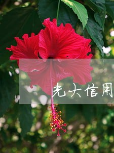 光大信用卡逾期分期免息招商 光大信用卡逾期分期免息招商