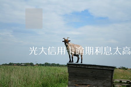光大信用卡逾期利息太高 光大信用卡逾期利息太高
