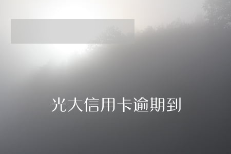 光大信用卡逾期到