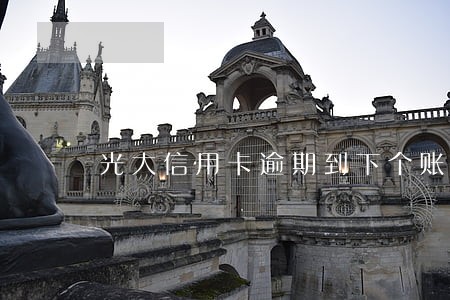光大信用卡逾期到下个账单日