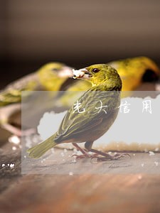 光大信用卡逾期到次月还款日