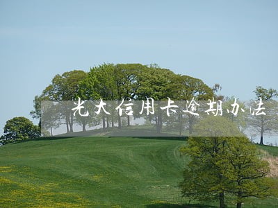 光大信用卡逾期办法 光大信用卡逾期办法