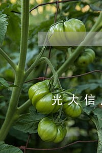 光大信用卡逾期十三天 光大信用卡逾期十三天