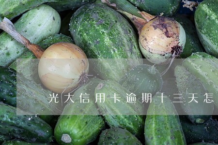 光大信用卡逾期十三天怎么办 光大信用卡逾期十三天怎么办