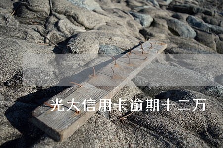 光大信用卡逾期十二万 光大信用卡逾期十二万