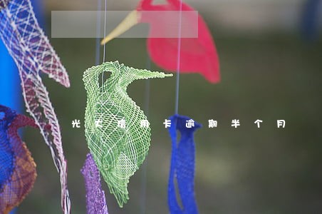 光大信用卡逾期半个月 光大信用卡逾期半个月