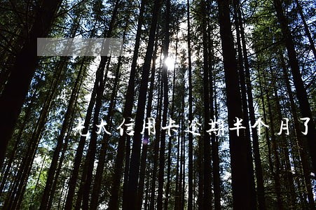 光大信用卡逾期半个月了怎么办