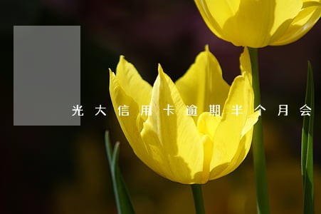 光大信用卡逾期半个月会降低 光大信用卡逾期半个月会降低