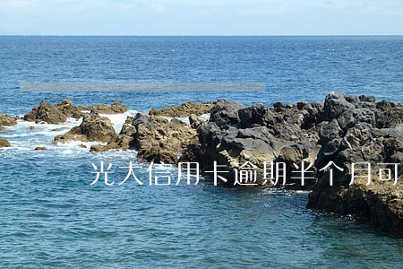 光大信用卡逾期半个月可以还吗 光大信用卡逾期半个月可以还吗