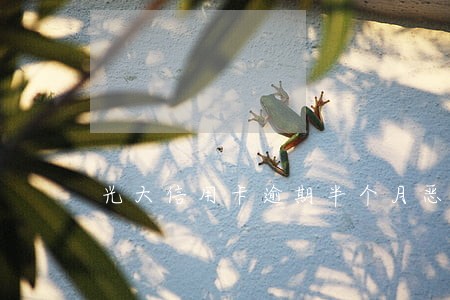 光大信用卡逾期半个月恶意拖欠 光大信用卡逾期半个月恶意拖欠