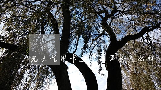 光大信用卡逾期半年会怎么样