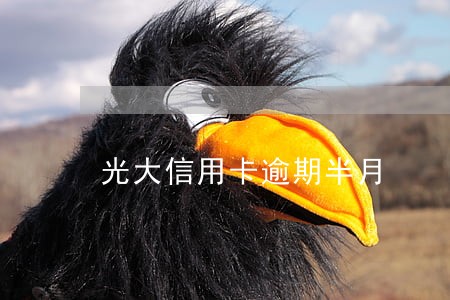光大信用卡逾期半月 光大信用卡逾期半月