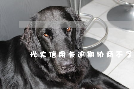 光大信用卡逾期协商不了怎么办 光大信用卡逾期协商不了怎么办