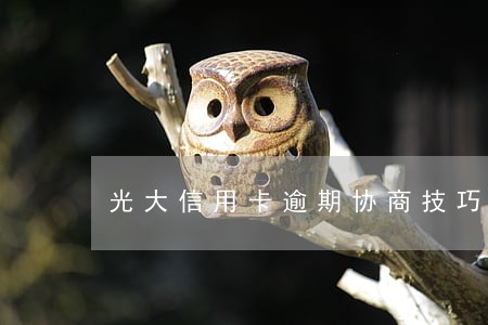 光大信用卡逾期协商技巧 光大信用卡逾期协商技巧