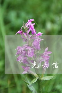 光大信用卡逾期协商能处理吗 光大信用卡逾期协商能处理吗
