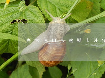 光大信用卡逾期卡注销了