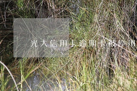 光大信用卡逾期卡被停用