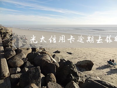 光大信用卡逾期去银行调解