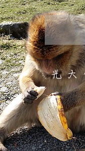 光大信用卡逾期发信息说上门