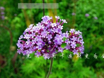 光大信用卡逾期变为全款 光大信用卡逾期变为全款