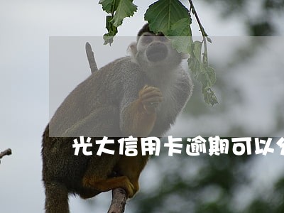 光大信用卡逾期可以分期还吗 光大信用卡逾期可以分期还吗