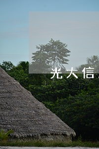 光大信用卡逾期可以办卡吗 光大信用卡逾期可以办卡吗