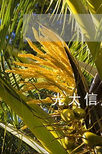 光大信用卡逾期可以协商分期吗 光大信用卡逾期可以协商分期吗
