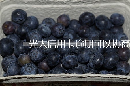 光大信用卡逾期可以协商还吗 光大信用卡逾期可以协商还吗