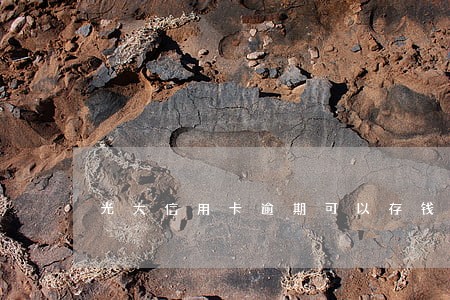 光大信用卡逾期可以存钱吗