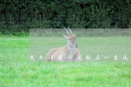 光大信用卡逾期后一直说上门 光大信用卡逾期后一直说上门