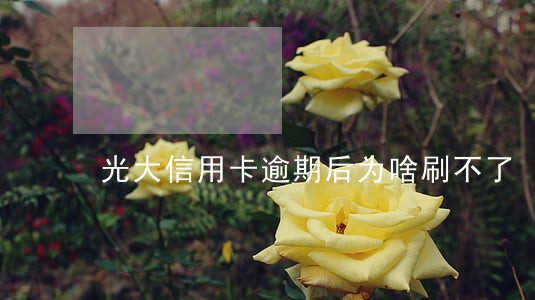 光大信用卡逾期后为啥刷不了 光大信用卡逾期后为啥刷不了