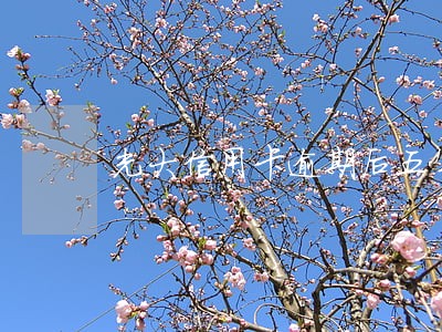 光大信用卡逾期后五年