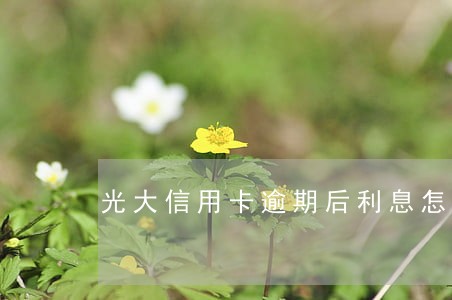 光大信用卡逾期后利息怎么算