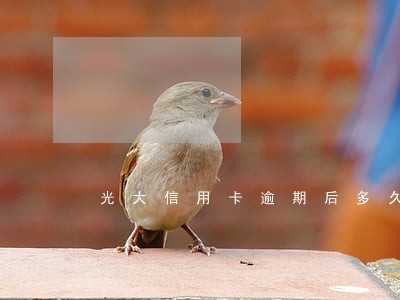 光大信用卡逾期后多久会上征信
