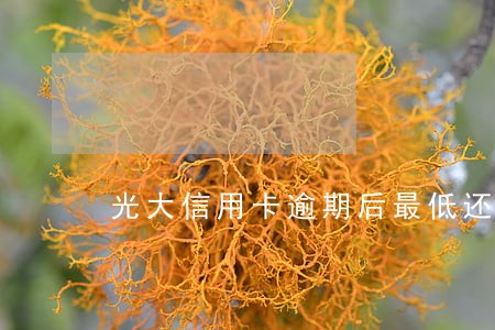 光大信用卡逾期后最低还款