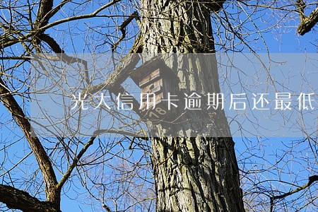 光大信用卡逾期后还最低还款吗