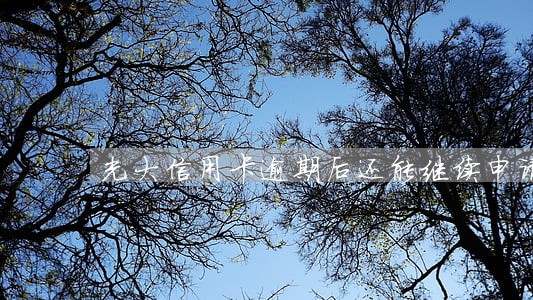 光大信用卡逾期后还能继续申请 光大信用卡逾期后还能继续申请
